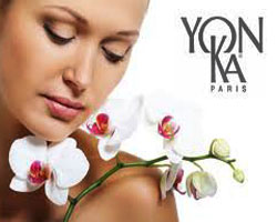 Уходы на линии YON-ka (Франция)